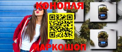 apvp Камышлов