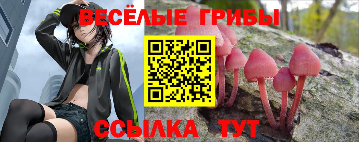 Галлюциногенные грибы мицелий Кстово